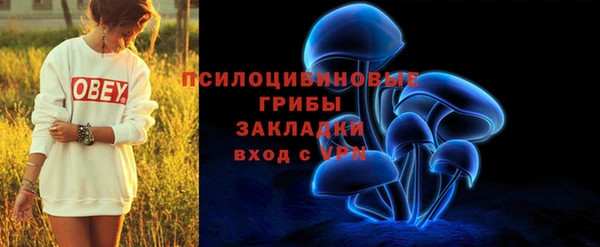дмт Ладушкин