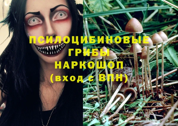 трава Лихославль