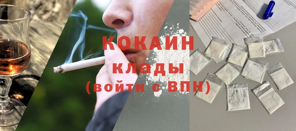 дмт Ладушкин
