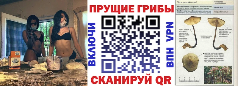 Псилоцибиновые грибы Psilocybine cubensis KRAKEN зеркало Иноземцево